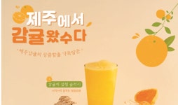 감성커피, ‘제주에서 감귤왔수다’ 감귤 음료 인기