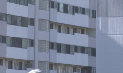 1명이 202명 전세금 413억원 떼먹어