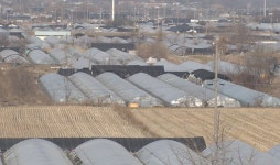 대책 앞두고 시흥 과림동 땅 거래 급증