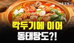 [카드 PICK] 깍두기 이어 이번엔 동태탕 재사용 논란…“팔팔 끓여서 괜찮아”