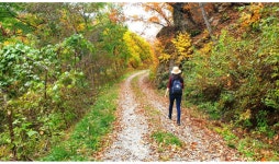 강원도 치악산 둘레길 개통...사업비 71억원 투입, 11개 코스 139.2km