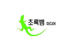 초록뱀미디어, 채널 K STAR 인수