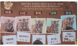 에버랜드, 아기 한국호랑이 5남매 공개