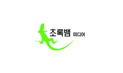 초록뱀미디어 자회사 스카이이앤엠, 엘디스토리와 합병
