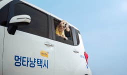 펫택시 멍타냥택시, 2021 오픈 네스트 200 선정