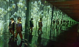 와인 족욕에 미디어아트까지…광양 와인동굴 복합 문화공간 인기