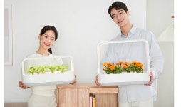 LG전자, 반려식물 재배기 ‘LG 틔운 미니’ 출시