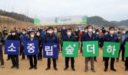 신안 임자도에 홍매화 1400주 식재 탄소중립 실천