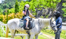 함안군 승마공원, 말과 사람의 행복한 동행