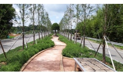 보성군, 주민복지숲 마무리… 보성읍 순환형 산책길 모습 드러내