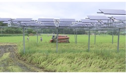 “농지 보존·추가 수익 창출”…영농형태양광 눈길