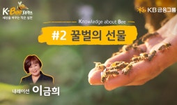 KB금융, ‘농업인의 날’ 기념 도시 양봉 영상 공개