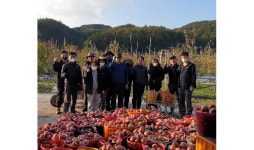 영덕군 재무과 직원들, 농촌일손돕기 봉사활동 구슬땀
