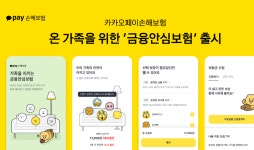 보이스피싱 손해 보장…카카오페이손보, ‘금융안심보험’ 출시