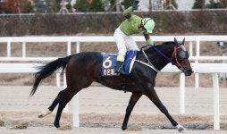 한국마사회, 올해 첫 대상경주 포문…29일 렛츠런파크 서울서 개최