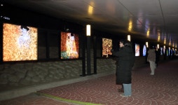 대구 북구 팔거천, LED 아트갤러리 조성