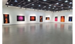 제뉴인글로벌컴퍼니, 정일진 작가의 11회 개인전 진행