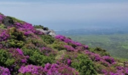 윗세오름 선작지왓 일대서 듣는 한라산 이야기