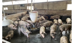 익산시 왕궁 학호마을 축사매입 완료…악취 해소 기대감