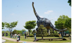 축제도 보고, 공룡도 만나고…해남공룡박물관 명량대첩축제때 무료