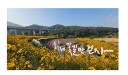 기장군, 일광 광산마을 오염된 장기휴경농지, 경관농업단지로 탈바꿈