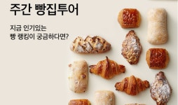 컬리, 주간 빵집투어 기획전…유명 오프라인 제품도 소개