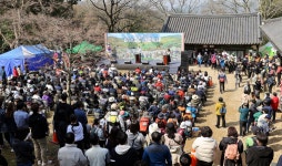 땅끝해남 달마고도서 봄맞이 힐링축제 북적