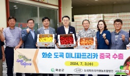 화순 도곡 미니파프리카 중국 수출길