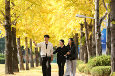 [포토] 대구가톨릭대, 황금빛으로 물든 가을 효성캠퍼스