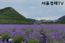 무릉별유천지, 2025-2026 한국관광100선 선정 