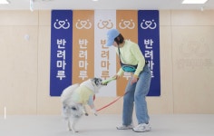 경기도 반려마루, 2025년 반려동물 교육 프로그램 운영