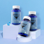 푸른헬스케어, 미스터불스 가격 조정 및 약국 판매 시작