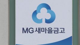 새마을금고, 내부통제 강화 대책…실효성은 의문