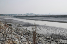 평택시, 평택호 ‘환경부의 중점관리저수지’로 최종선정돼