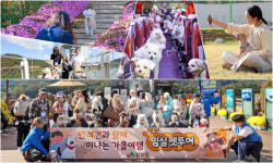 임실군, 반려견과 함께하는 가을여행 펫투어 진행