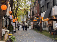 용인시, 유럽형 코지가든 관광테마골목사업 선정