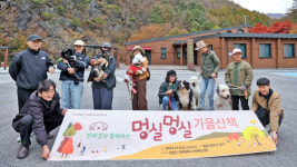 임실군, 반려견과 함께하는 멍실멍실 가을 산책 성황
