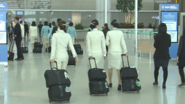 대한항공, 납품업체 해킹에 임직원 개인정보 유출