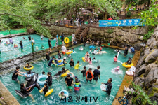 시원한 계곡이 최고…보성 제암산자연휴양림서 즐기는 여름