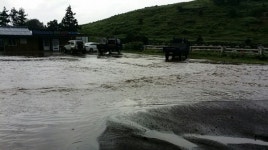 서성로 침수피해 항구대책 마련된다