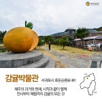 이번엔 효돈마을로 떠나볼까?...요里보고 조里보고네번째 발표