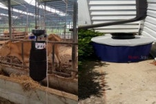 동부보건소, 친환경 해충방제시설 설시 신청 접수