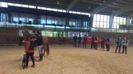 렛츠런팜 제주, 산학협력 말산업 대학생 현장실습 교육 시행