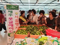 제주농협, 대도시 풋귤 기능성 음료 홍보 나서