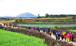 제주시, 농림부 주관 신활력플러스사업 선정