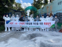 제주농협방역단 금악리 양돈농장 차단방역활동