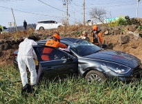 제주 대정읍서 렌터카 밭 돌진 사고
