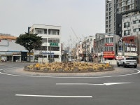 서귀포시 주요도로변 봄꽃 식재사업 추진