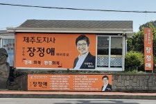 장정애, 서귀포시에 디즈니랜드 테마파크를