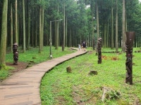 절물자연휴양림, 겨울철 탐방시간 단축 운영